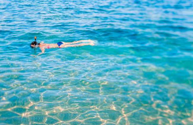 Ponza Island Day Trip - Photo 2