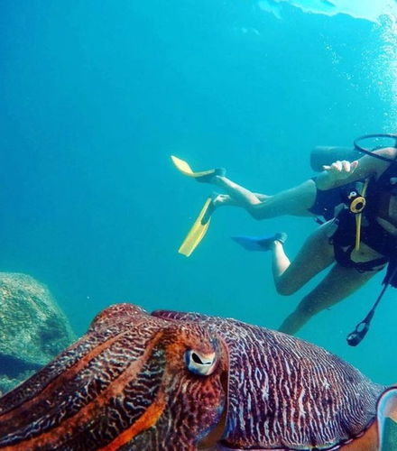 Foto de Bautismo de buceo en Dibba Al-Fujairah