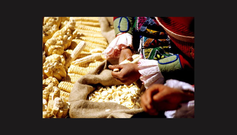 Sacred Valley of the Incas Arts & Crafts Private Tour - Foto 2