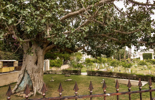 Excursão a Belém e Jericó - Foto 3