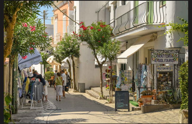 Excursion à Capri et à Anacapri - Photo 6