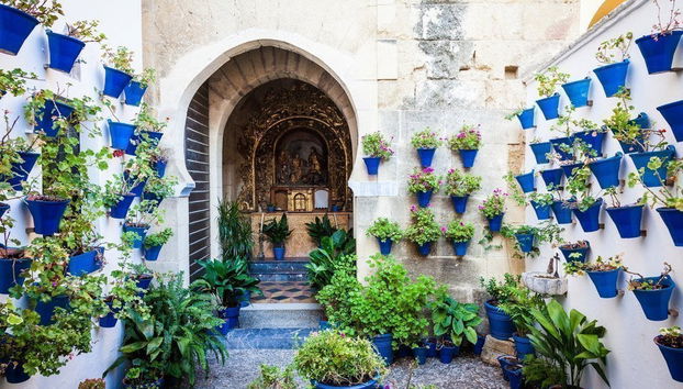 Visita guiada por los Patios de Córdoba - Foto 2