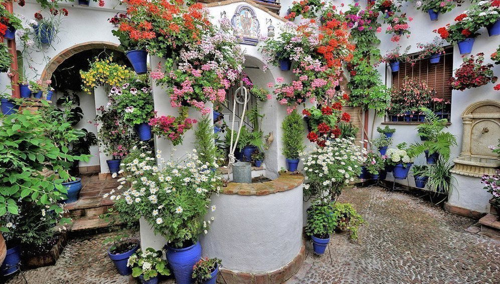 Visita guiada por los Patios de Córdoba - Foto 1