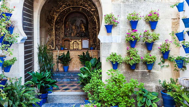 Visita guiada por los Patios de Córdoba - Foto 4