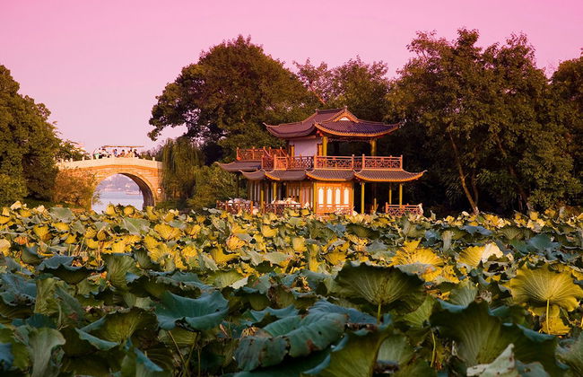 Recorrido de un día por los hitos de Hangzhou – Tour privado - Foto 4