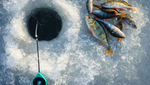 Levi Ice Fishing Experience - Photo 5