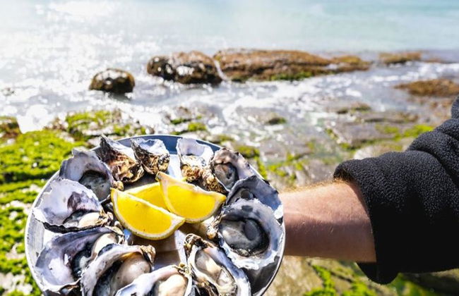 Safari en Bruny Island: Comida, turismo y visita al faro - Foto 5