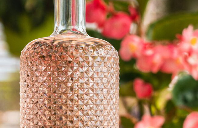 Tour de quesos y ginebras de primera calidad en las colinas de Prosecco. ¡Almuerzo completo! - Foto 6