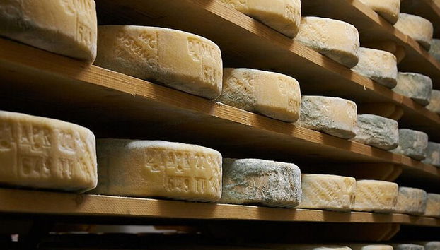 Tour de quesos y ginebras de primera calidad en las colinas de Prosecco. ¡Almuerzo completo! - Foto 3