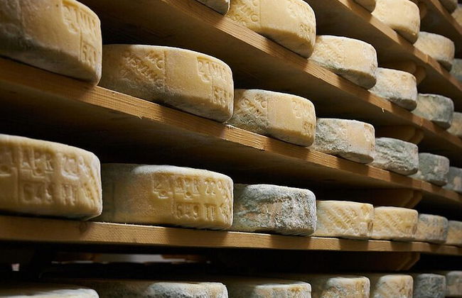 Tour de quesos y ginebras de primera calidad en las colinas de Prosecco. ¡Almuerzo completo! - Foto 3