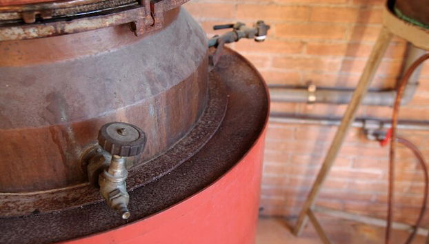 Tour de quesos y ginebras de primera calidad en las colinas de Prosecco. ¡Almuerzo completo! - Foto 4