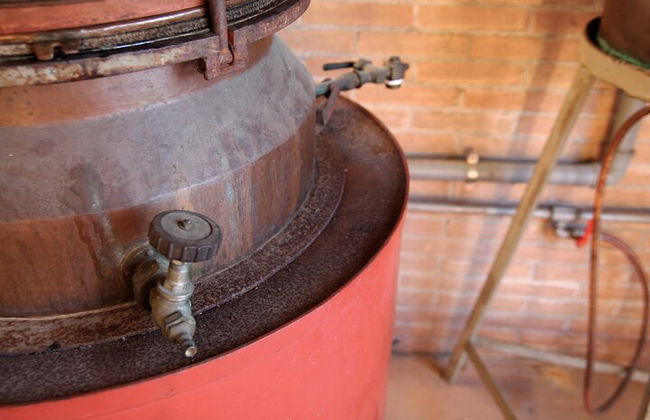 Tour de quesos y ginebras de primera calidad en las colinas de Prosecco. ¡Almuerzo completo! - Foto 4