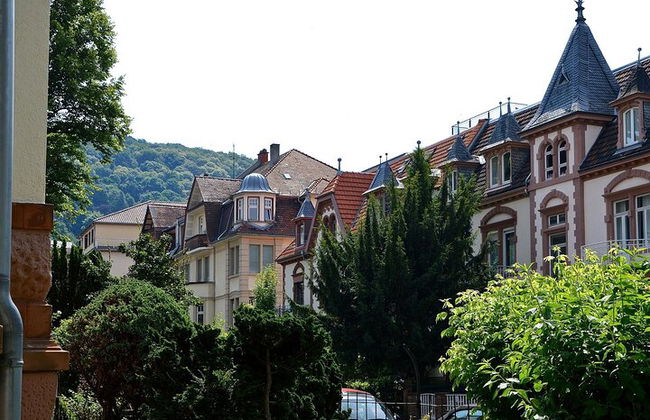 Excursão privada guiada a Heidelberg saindo de Frankfurt de trem - Foto 7