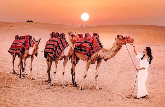 Safári romântico no deserto de Dubai - Foto 8