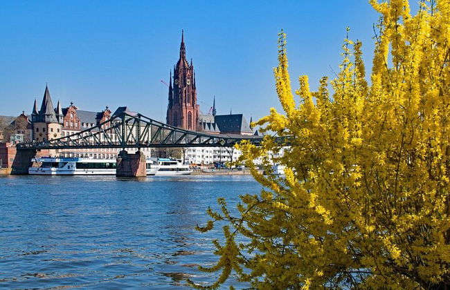 Visita guiada privada ao Frankfurt Goethehaus com um guia profissional - Foto 3