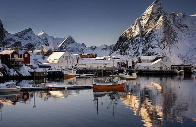 Inverno nel Nord delle Isole Lofoten - Tour di mezza giornata per piccoli gruppi - Foto 4