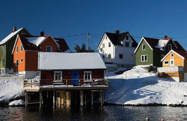 Inverno nel Nord delle Isole Lofoten - Tour di mezza giornata per piccoli gruppi - Foto 2