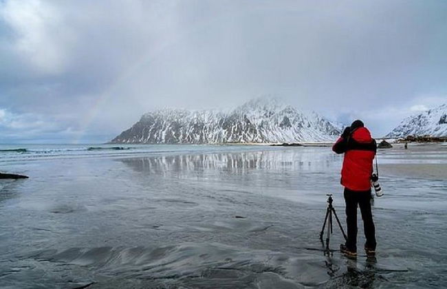 Inverno nel Nord delle Isole Lofoten - Tour di mezza giornata per piccoli gruppi - Foto 3