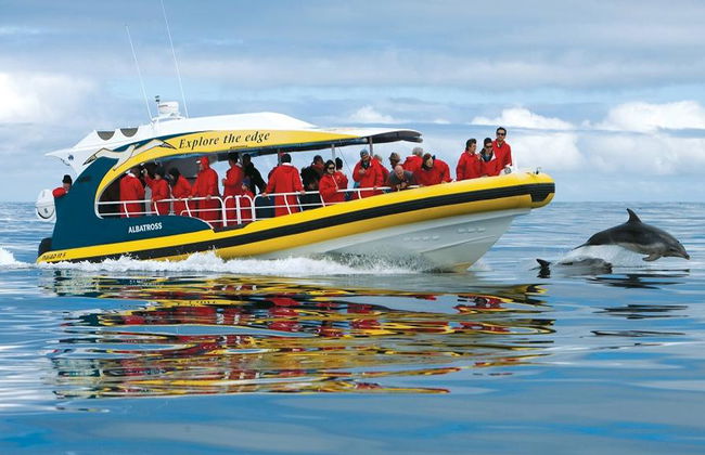 Tasman Island Cruises und Historische Stätte Port Arthur - Ganztägige Tour - Foto 2