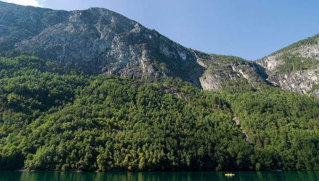 Tour de caiaque pelo fiorde de Nærøy - Foto 4