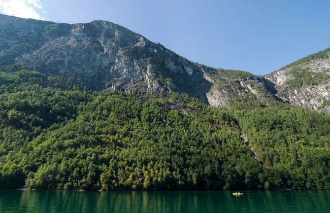 Nærøyfjord Kayak Tour - Foto 4