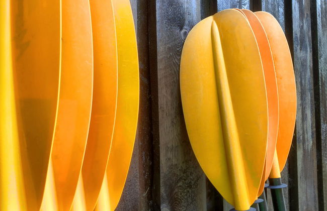 Nærøyfjord Kayak Tour - Foto 1