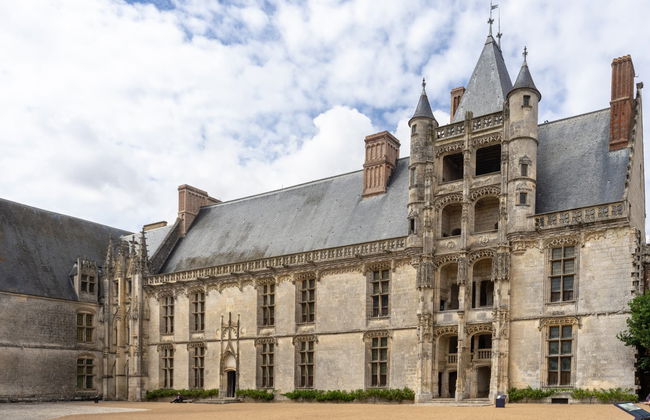 Entrada al castillo de Châteaudun - Foto 2