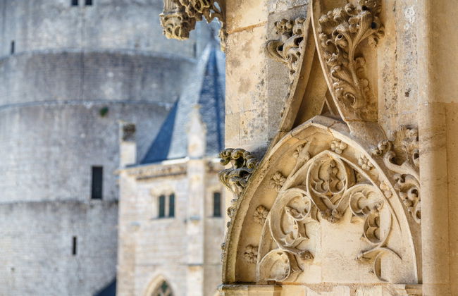 Entrada al castillo de Châteaudun - Foto 7