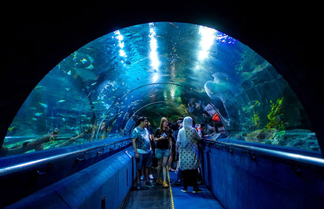 Billet pour Aquaria KLCC - Photo 1