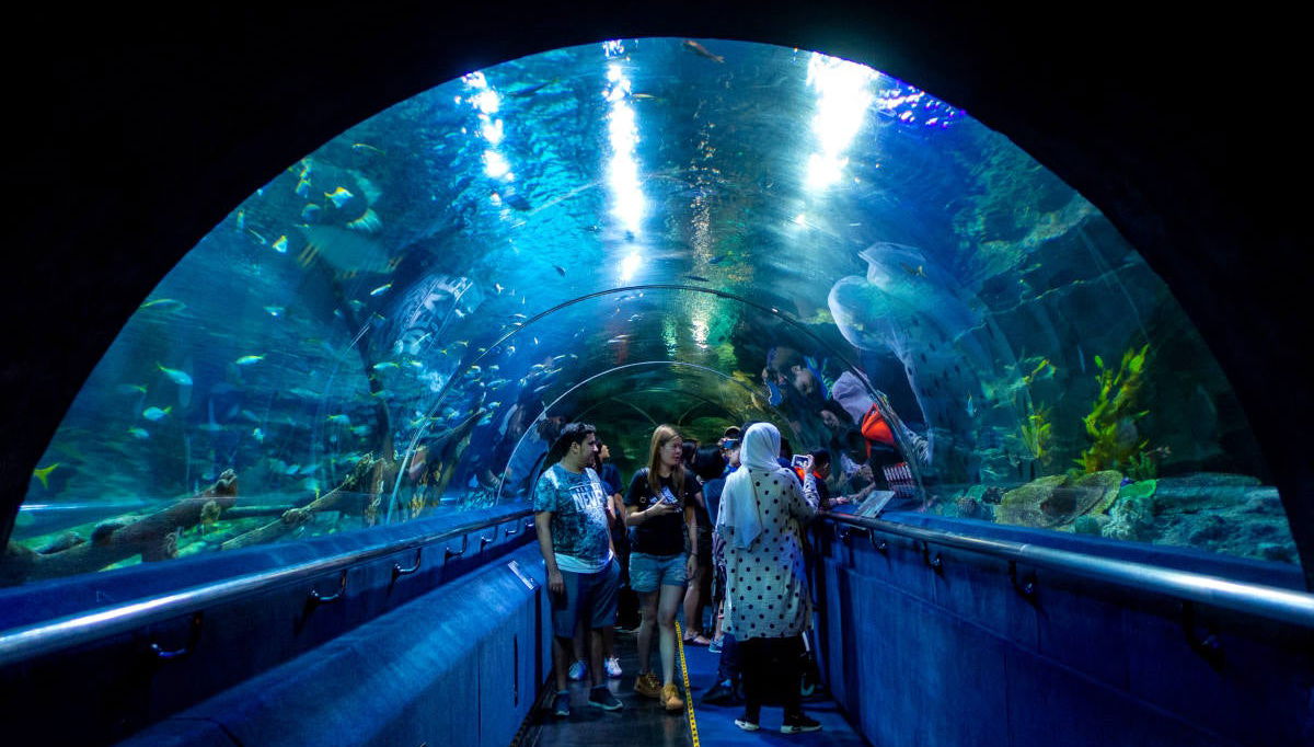 Aquaria KLCC Ticket - Foto 1