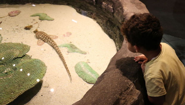 Aquaria KLCC Ticket - Foto 5