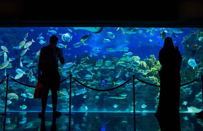 Billet pour Aquaria KLCC - Photo 3