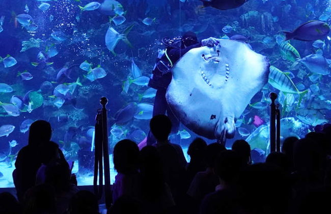 Billet pour Aquaria KLCC - Photo 3