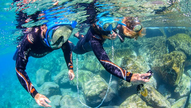Radazul Snorkelling - Foto 2