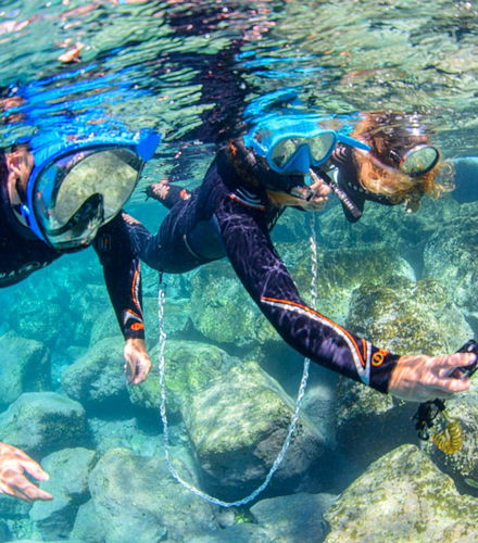 Foto de Snorkel en Radazul