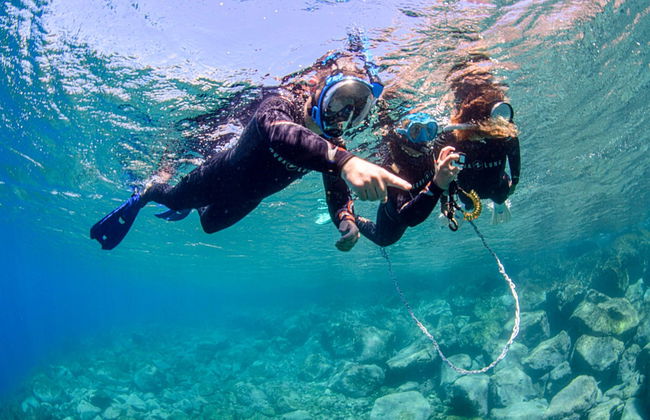 Radazul Snorkelling - Photo 5
