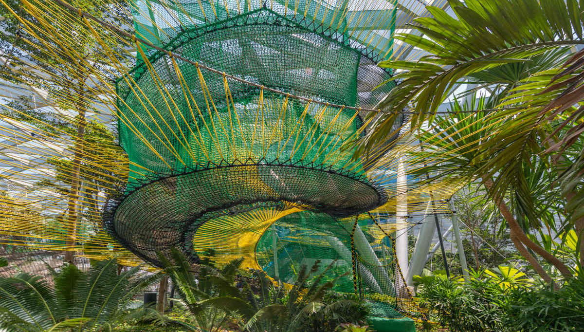 Canopy Park Ticket - Foto 1