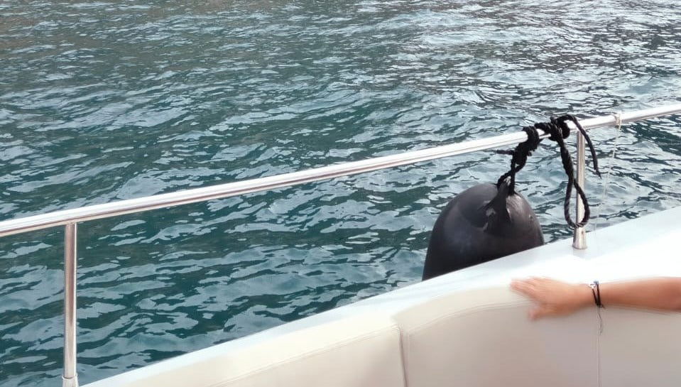 Boat Trip with Mussel Tasting