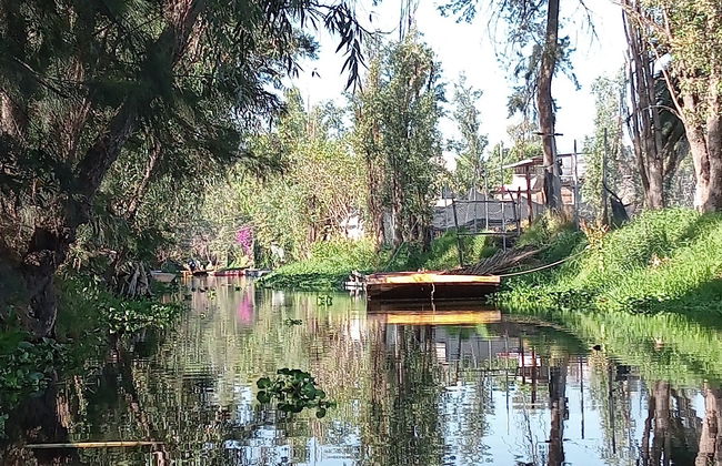 Balalde en kayak à Xochimilco - Photo 8