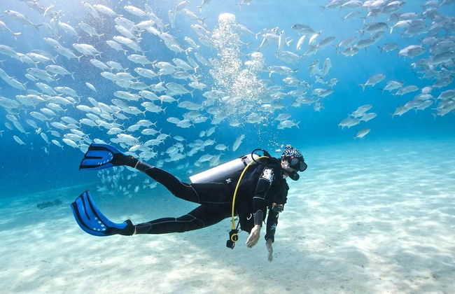 Batismo de mergulho e snorkel no Mar Vermelho - Foto 6
