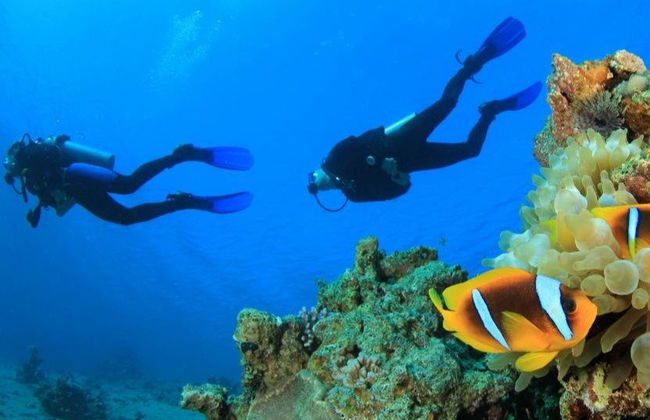 Batismo de mergulho e snorkel no Mar Vermelho - Foto 7