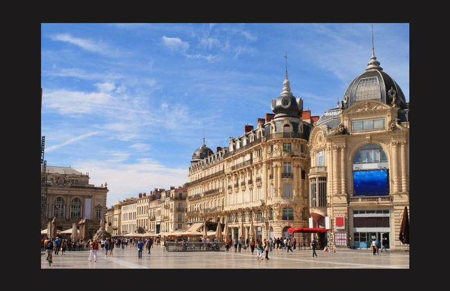 Visite gastronomique à Montpellier - Photo 3
