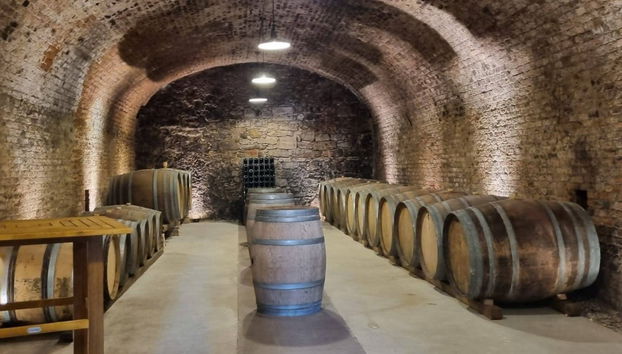 Wine Tour Through the Vienna Woods - Foto 4