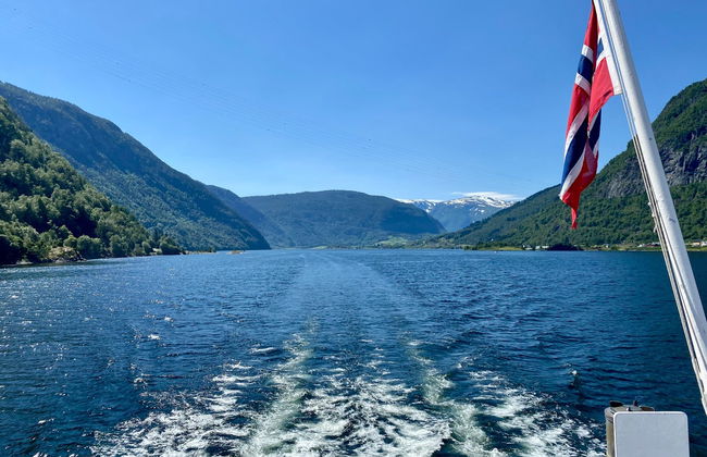 Boat Trip on the Barsnesfjorden & Årøy River - Photo 4