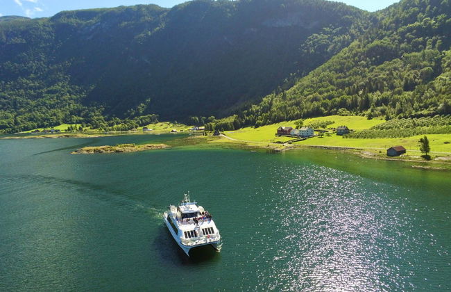 Boat Trip on the Barsnesfjorden & Årøy River - Photo 2