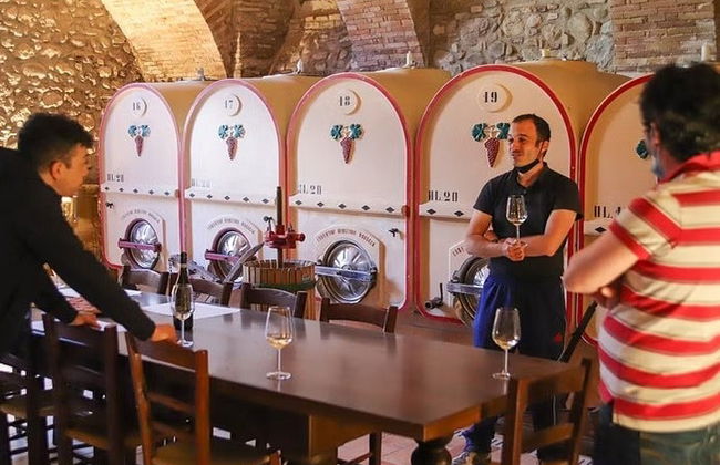Visita a uma adega de Pozzolengo - Foto 6