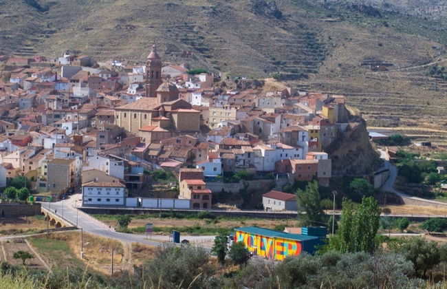 Visita a un olivar y una almazara + Cata de aceites y conservas - Foto 5