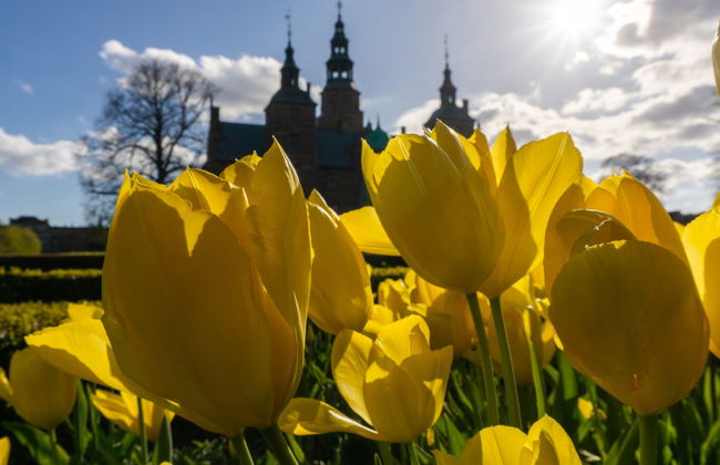 Free tour de La Sirenita y el puerto de Copenhague - Foto 7