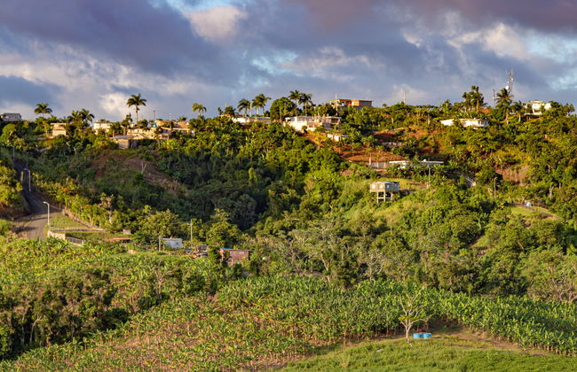 Ziplining at Toro Verde Eco Adventure Park - Photo 6