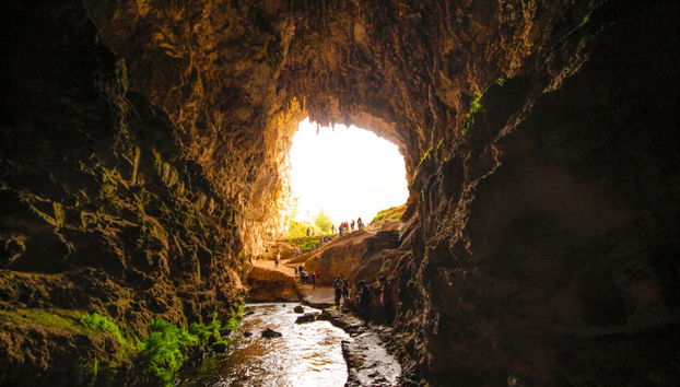 Valley of the Flowers Tour - Foto 3